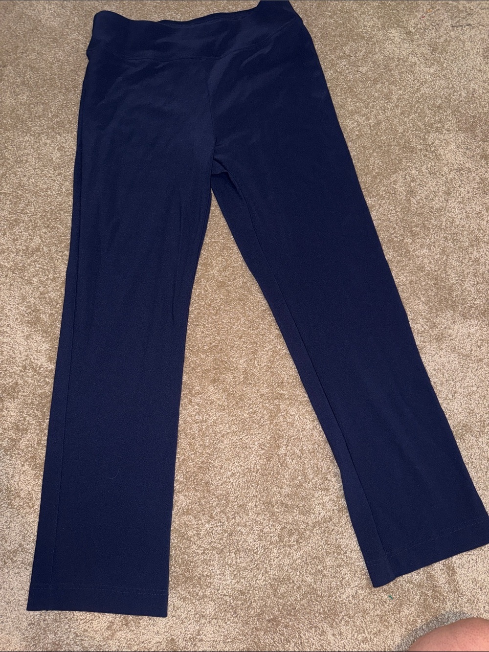 Boston Proper Navy Knit Stretch Pull On Pants - size small short. B14